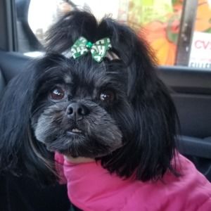 Meet your Posher, Sabrina